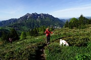 In Söc di Agnei (Cima degli Agnelli), detta anche Cima Camplano (2057 m) il 9 maggio 2015 - FOTOGALLERY